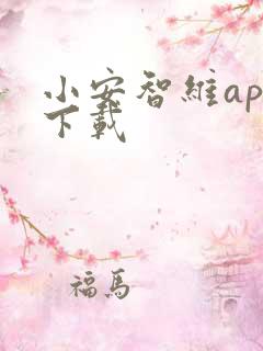 小安智维app下载