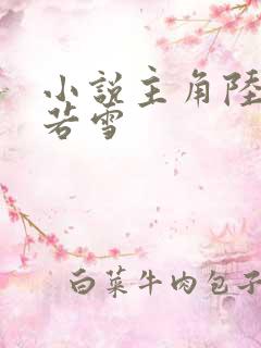 小说主角陆沉周若雪