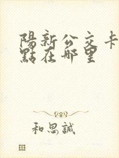 阳新公交卡充值点在哪里