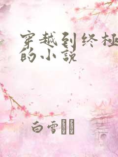 穿越到终极斗罗的小说