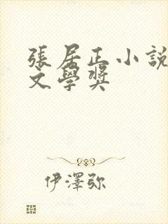 张居正小说茅盾文学奖