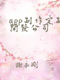 app制作定制开发公司