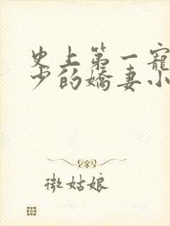史上第一宠婚慕少的娇妻小说免费