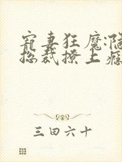 宠妻狂魔:隐婚总裁撩上瘾