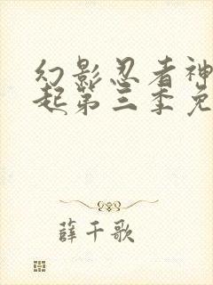 幻影忍者神龙崛起第三季免费观看中文