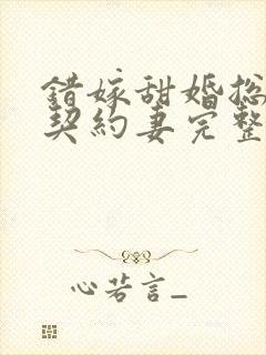 错嫁甜婚总裁的契约妻完整版