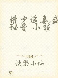 权少追妻,盛婚秘爱 小说