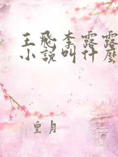 王飞李露露原著小说叫什么名字