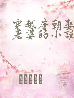 穿越唐朝娶一群老婆的小说