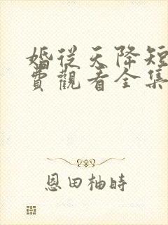 婚从天降短剧免费观看全集在线观看高清