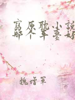写原耽小说赚钱哪个平台好