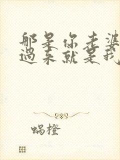 那是你老婆?抢过来就是我的了小说免费阅读