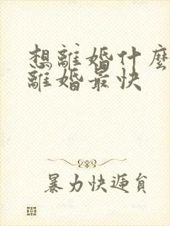 想离婚什么方法离婚最快