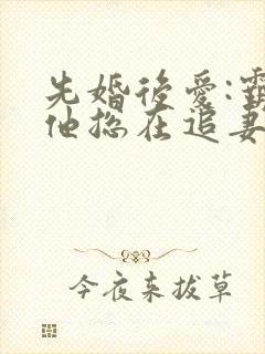 先婚后爱:霸总他总在追妻小说