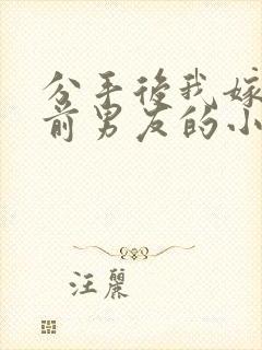 分手后我嫁给了前男友的小叔暮色酒歌