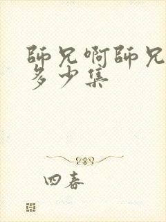 师兄啊师兄一共多少集