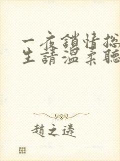 一夜锁情总裁先生请温柔听书
