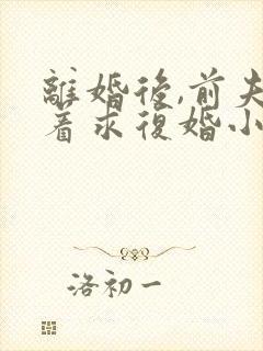 离婚后,前夫哭着求复婚小说免费阅读原文