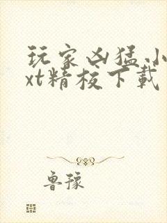玩家凶猛小说txt精校下载