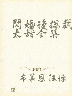 闪婚后总裁娇妻太甜全集