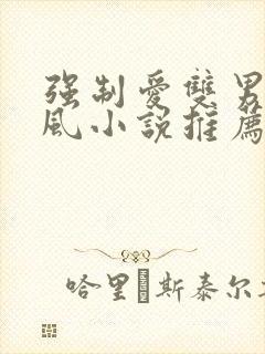 强制爱双男主古风小说推荐