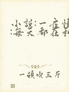 小说:一夜情深:每天都在和大佬谈恋爱