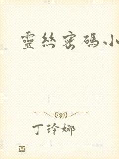灵丝密码小说