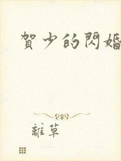 贺少的闪婚暖妻