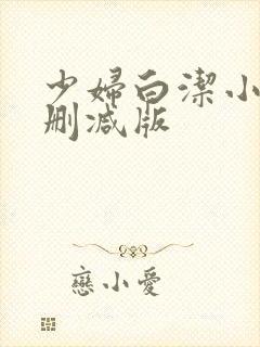 少妇白洁小说无删减版