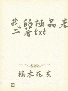 我的极品老婆小二著txt
