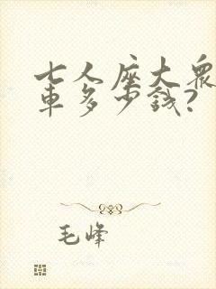 七人座大众商务车多少钱?