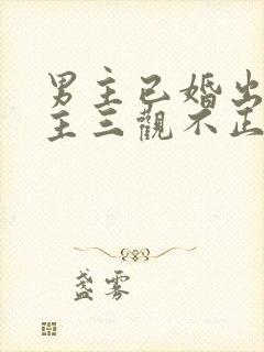 男主已婚出轨女主三观不正小说