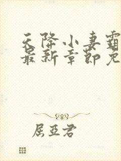 天降小妻霸道宠最新章节免费阅读