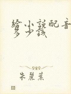 给小说配音能赚多少钱