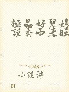 极品好儿媳妇小说秦雨老旺免费阅读