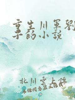 重生川军刘湘儿子的小说
