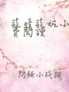 苏晴苏婉小说免费阅读