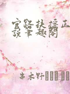 官路扶摇正版小说笔趣阁