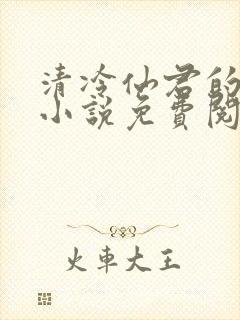 清冷仙君的堕落小说免费阅读