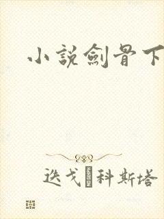 小说剑骨下载