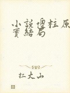 小说傻柱原著真实结局