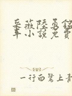 采薇陆勇铭陆三平小说免费阅读