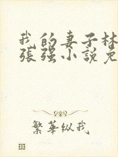 我的妻子林慧茹张强小说免费阅读