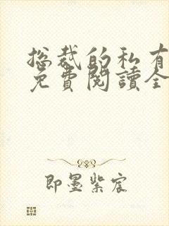 总裁的私有宝贝免费阅读全文