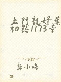 上门龙婿叶辰萧初然1173章