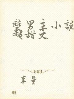 双男主小说推荐超甜文