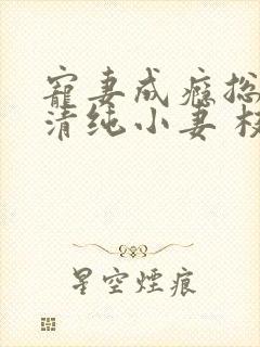宠妻成瘾总裁的清纯小妻 枝枝