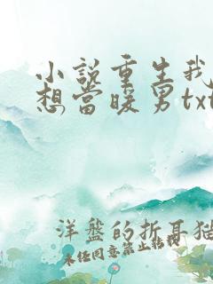 小说重生我真没想当暖男txt
