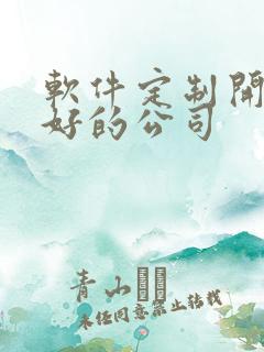 软件定制开发的好的公司