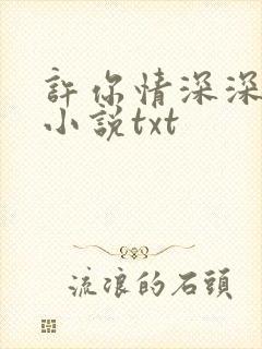 许你情深深似海小说txt